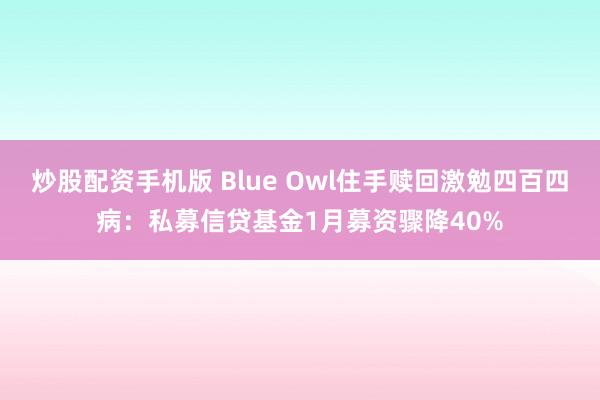 炒股配资手机版 Blue Owl住手赎回激勉四百四病:私募信贷基金1月募资骤降40%